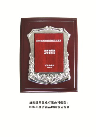 融基公司（2005年度濟(jì)南品牌城市運(yùn)營(yíng)商） 拷貝